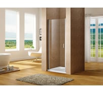 Дверь в нишу Aquanet Cinetic 900 мм, хром, прозрачный, 6 мм AE12-N-90H190U-CT 00243620