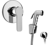 Комплект Paini из встраиваемого смесителя с гигиеническим душем, хром ARCR690/574