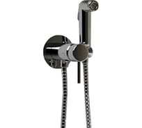 Смеситель с гигиеническим душем Paini Imola, хром 53CR442RRU_ABS
