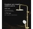 Душевая система AM.PM X-Joy: смеситель д/душа с ТМС, душ.штанга, верхний душ 220мм, ручн душ, золото F0785A499 10