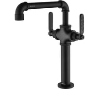 Смеситель для кухни Paulmark LOFT PVD антрацит  Lo226006-401