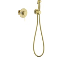 Встроенный смеситель с гигиеническим душем Timo Saona золото матовое 2389/17SM