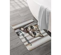 Коврик для ванной и туалета JOYARTY Кот смотрит 58x38 см, sbmrec_sd3460_58x38