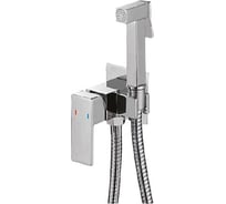 Смеситель для биде OUTE с гигиеническим душем, из латуни, хром TH355