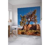 Штора (занавеска) для ванной JoyArty "Пустынное дерево" из сатена, 180х200 см с крючками, sc_17227