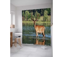 Штора (занавеска) для ванной JoyArty "Олень на водопое" из сатена, 180х200 см с крючками, sc_15533