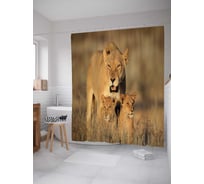 Штора (занавеска) для ванной JoyArty "Львиные заботы" из сатена, 180х200 см с крючками, sc_14690