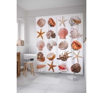 Штора (занавеска) для ванной JoyArty "Ракушки для коллекционера" из сатена, 180х200 см с крючками, sc_11813