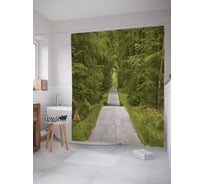 Штора (занавеска) для ванной JoyArty "Дорога сквозь лес" из сатена, 180х200 см с крючками, sc_12593