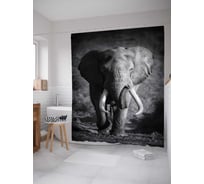 Штора (занавеска) для ванной JoyArty "Спокойный слон" из сатена, 180х200 см с крючками, sc_13711