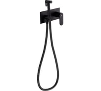 Смеситель встраиваемый с гигиенической лейкой FASHUN A7585-7