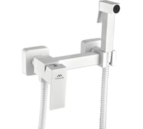 Смеситель настенный с гигиенической лейкой FASHUN A57504-8