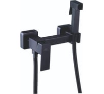 Смеситель настенный с гигиенической лейкой FASHUN A57504-17