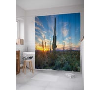 Штора (занавеска) для ванной JoyArty "Кактус прячет солнце" из сатена, 180х200 см с крючками, sc_15713