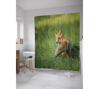 Штора (занавеска) для ванной JoyArty "Лиса в траве" из сатена, 180х200 см с крючками, sc_28024