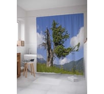 Штора (занавеска) для ванной JoyArty "Поврежденное дерево" из сатена, 180х200 см с крючками, sc_28481