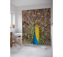Штора (занавеска) для ванной JoyArty "Павлиньи узоры" из сатена, 180х200 см с крючками, sc_12570