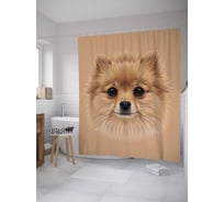 Штора (занавеска) для ванной JoyArty "Фото померанского шпица" из сатена, 180х200 см с крючками, sc_28201