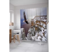 Штора (занавеска) для ванной JoyArty "Летящий орел" из сатена, 180х200 см с крючками, sc_21747