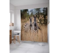 Штора (занавеска) для ванной JoyArty "Внимательные зебры" из сатена, 180х200 см с крючками, sc_21742