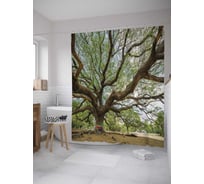 Штора (занавеска) для ванной JoyArty "Одинокое дерево" из сатена, 180х200 см с крючками, sc_31403