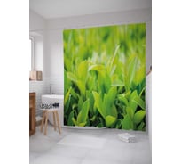 Штора (занавеска) для ванной JoyArty "Молодая поросль" из сатена, 180х200 см с крючками, sc_38882