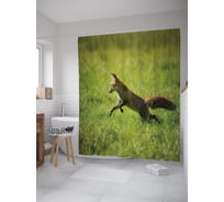 Штора (занавеска) для ванной JoyArty "Охота лисы" из сатена, 180х200 см с крючками, sc_39198