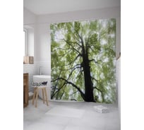 Штора (занавеска) для ванной JoyArty "Старое дерево в лесу" из сатена, 180х200 см с крючками, sc_32314