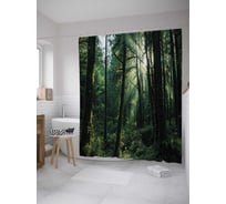 Штора (занавеска) для ванной JoyArty "Старый лес" из сатена, 180х200 см с крючками, sc_32353