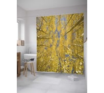 Штора (занавеска) для ванной JoyArty "Осенняя листва" из сатена, 180х200 см с крючками, sc_34748