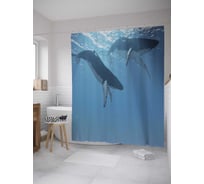 Штора (занавеска) для ванной JoyArty "Пара китов" из сатена, 180х200 см с крючками, sc_9228
