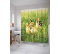 Штора (занавеска) для ванной JoyArty "Гусята в траве" из сатена, 180х200 см с крючками, sc_6568