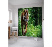Штора (занавеска) для ванной JoyArty "Тигр на прогулке" из сатена, 180х200 см с крючками, sc_38676