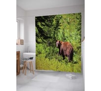 Штора (занавеска) для ванной JoyArty "Медведь в лесу" из сатена, 180х200 см с крючками, sc_4299