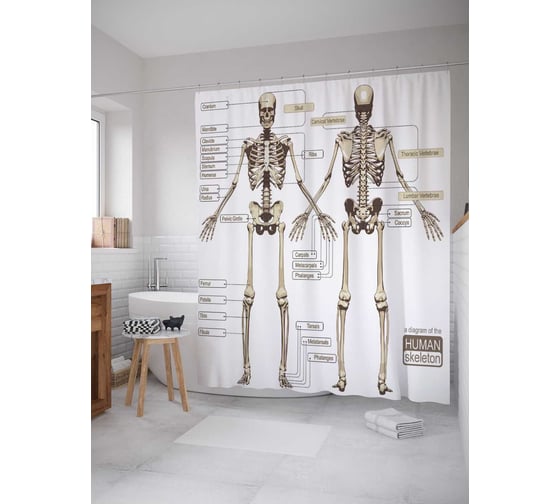 Штора (занавеска) для ванной JoyArty "Анатомия человека" из сатена, 180х200 см с крючками, sc_7009 1
