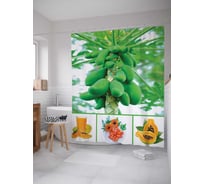 Штора (занавеска) для ванной JoyArty "Экзотический фрукт" из сатена, 180х200 см с крючками, sc_7320