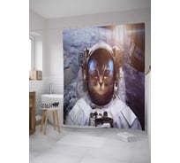 Штора (занавеска) для ванной JoyArty "Карликовая планета" из сатена, 180х200 см с крючками, sc_33519