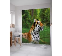 Штора (занавеска) для ванной JoyArty "Тигриный заплыв" из сатена, 180х200 см с крючками, sc_38650