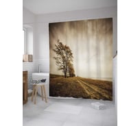 Штора (занавеска) для ванной JoyArty "Птичья дорога" из сатена, 180х200 см с крючками, sc_8003