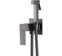 Смеситель ABBER Daheim с гигиеническим душем, никель AF8226NG