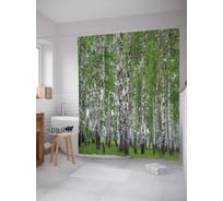 Штора (занавеска) для ванной JoyArty "Березовые мысли" из сатена, 180х200 см с крючками, sc_6481
