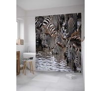 Штора (занавеска) для ванной JoyArty "Зебровое купание" из сатена, 180х200 см с крючками, sc_8908
