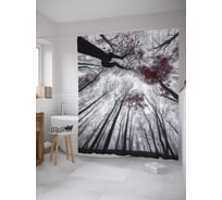 Штора (занавеска) для ванной JoyArty "Прогулка между деревьев" из сатена, 180х200 см с крючками, sc_8404