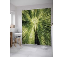 Штора (занавеска) для ванной JoyArty "Лесной свет" из сатена, 180х200 см с крючками, sc_8201