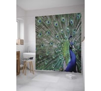 Штора (занавеска) для ванной JoyArty "Превосходство павлина" из сатена, 180х200 см с крючками, sc_9037