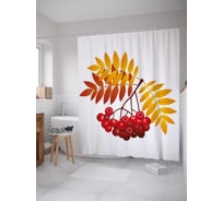 Штора (занавеска) для ванной JoyArty "Ветвь осенней рябины" из сатена, 180х200 см с крючками, sc_38414