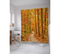 Штора (занавеска) для ванной JoyArty "Пешеходная дорожка" из сатена, 180х200 см с крючками, sc_37688