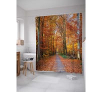 Штора (занавеска) для ванной JoyArty "Дорожка в парке" из сатена, 180х200 см с крючками, sc_37679