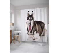 Штора (занавеска) для ванной JoyArty "Симпатичная хаски" из сатена, 180х200 см с крючками, sc_39420