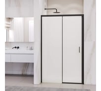 Душевая дверь RGW PA-017-B 160х195 см, черный, стекло матовое 6 мм (Easy) 350801716-24